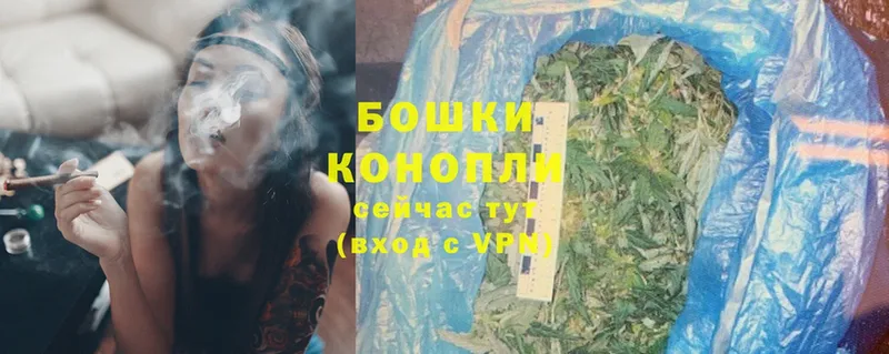 купить наркоту  Кудрово  Бошки марихуана SATIVA & INDICA 